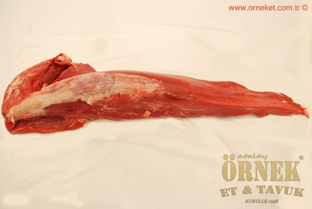 HTML Website Template