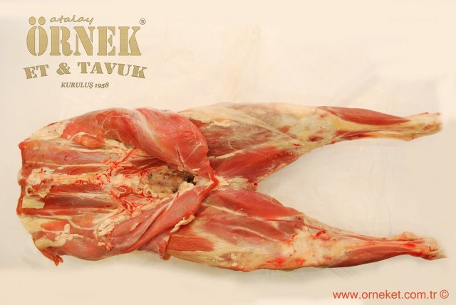 HTML Website Template