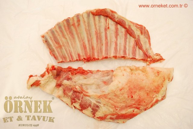 HTML Website Template