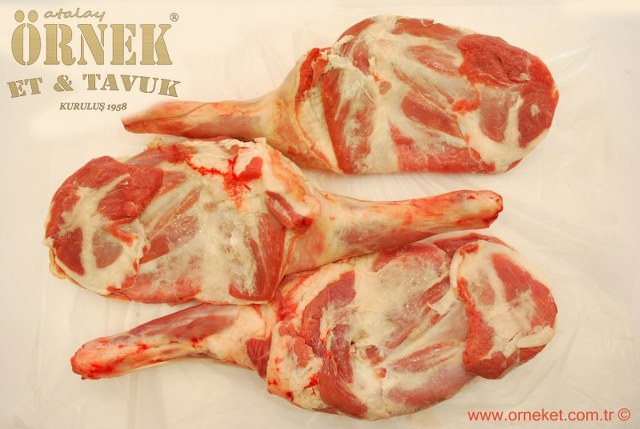 HTML Website Template