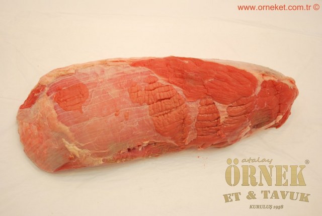 HTML Website Template