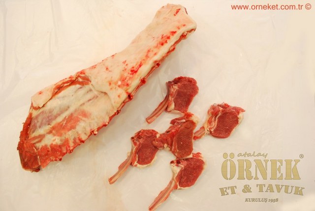 HTML Website Template