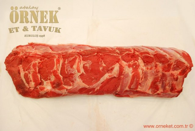 HTML Website Template