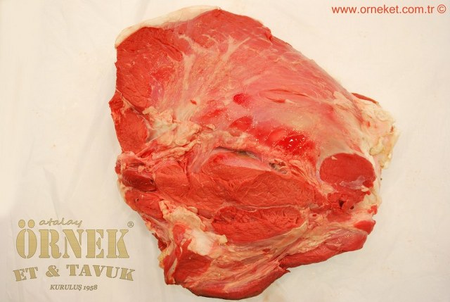 HTML Website Template